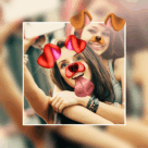 Editor de Fotos Colagem: Picsa