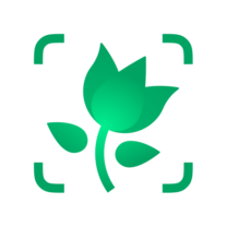 PictureThis Identificar Planta