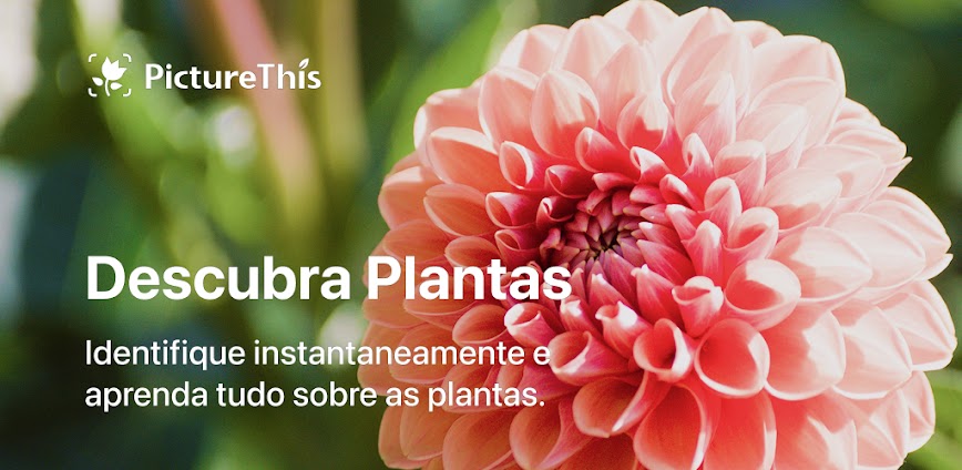 PictureThis Identificar Planta
